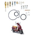 Carburetor Repair Kit Compatible with Access 125 (New Model) – Complete Carb Rebuild Kit for Smooth Engine Parts Performance