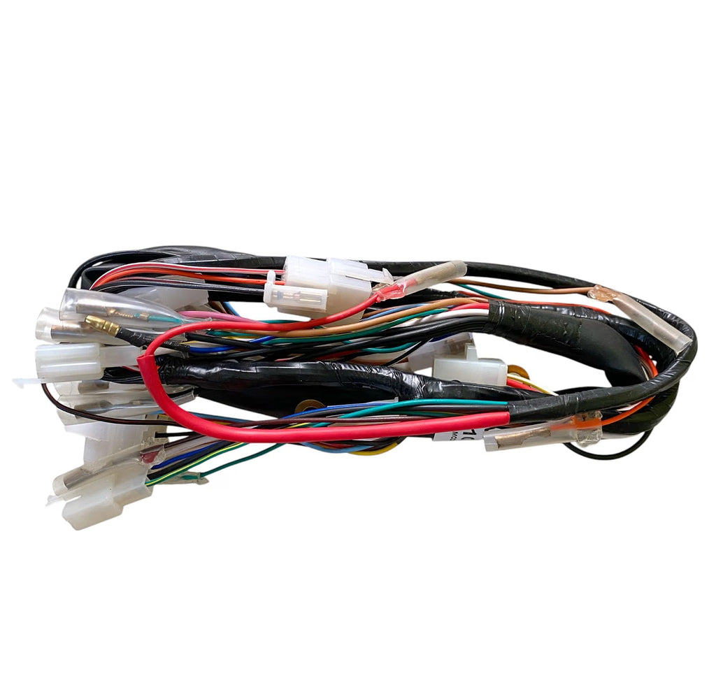 Road Religion Complete Wiring Harness Set compatible with RX100
