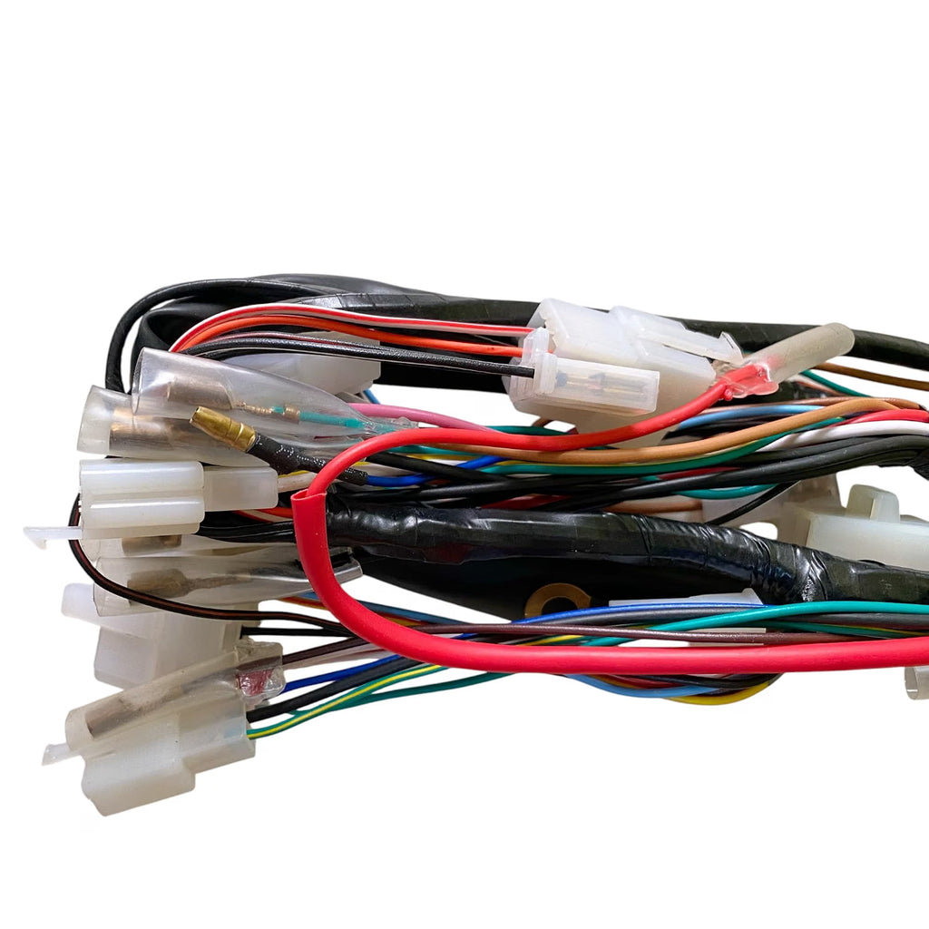 Road Religion Complete Wiring Harness Set compatible with RX100