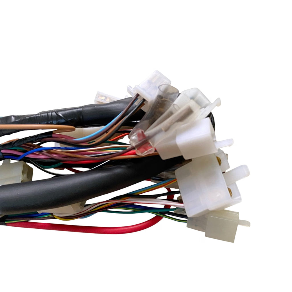 Road Religion Complete Wiring Harness Set compatible with RX100